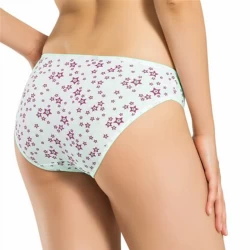 Low-Rise Slip Sexy Panties for Ladies TLS218