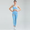 Seamless Sport Bra and Leggings Set with Your Logo TLS264
