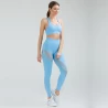 Seamless Sport Bra and Leggings Set with Your Logo TLS264