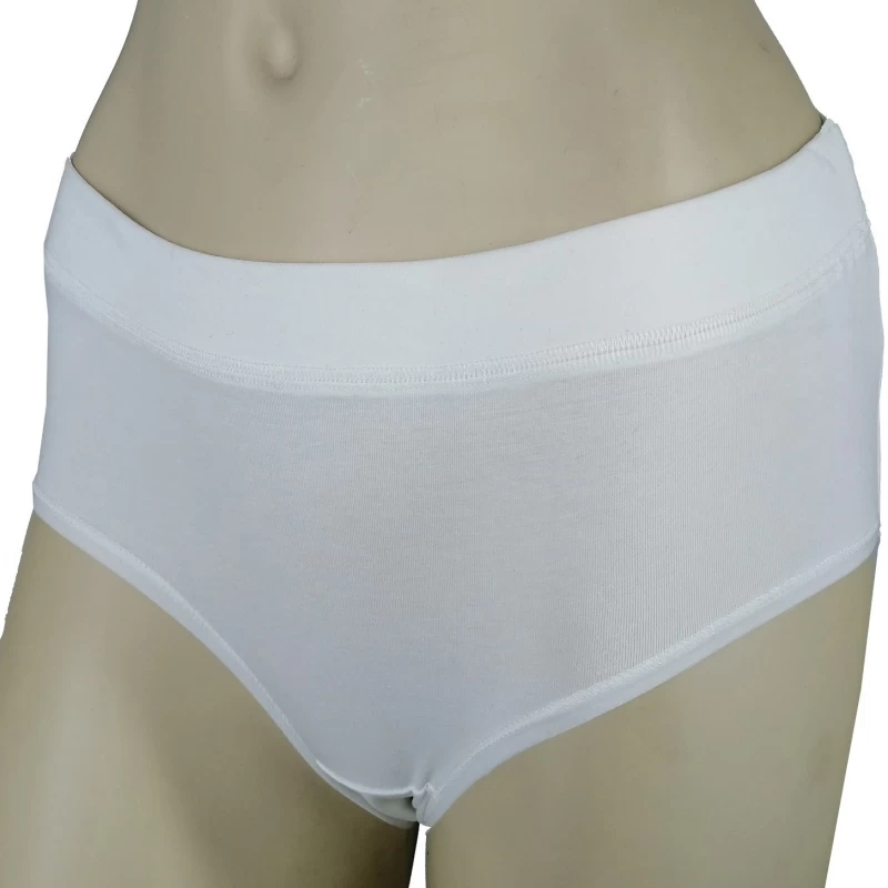 Women's Antibacterial Silver Organic Cotton High-Rise Hipster Panties TLS70
