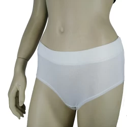 Women's Antibacterial Silver Organic Cotton High-Rise Hipster Panties TLS70