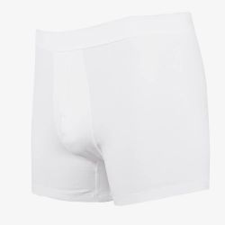 Organic Cotton Boxershorts for Men - Comfortable Modern Fit Boxer Briefs TLS376