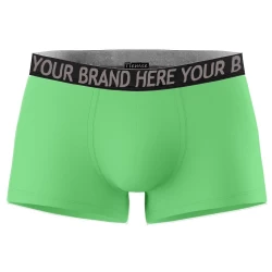 Boxer Briefs with Private Logo for Men TLS85