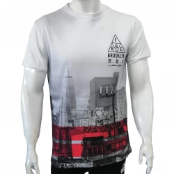 Customizable Printed T-shirts for Men TLS111